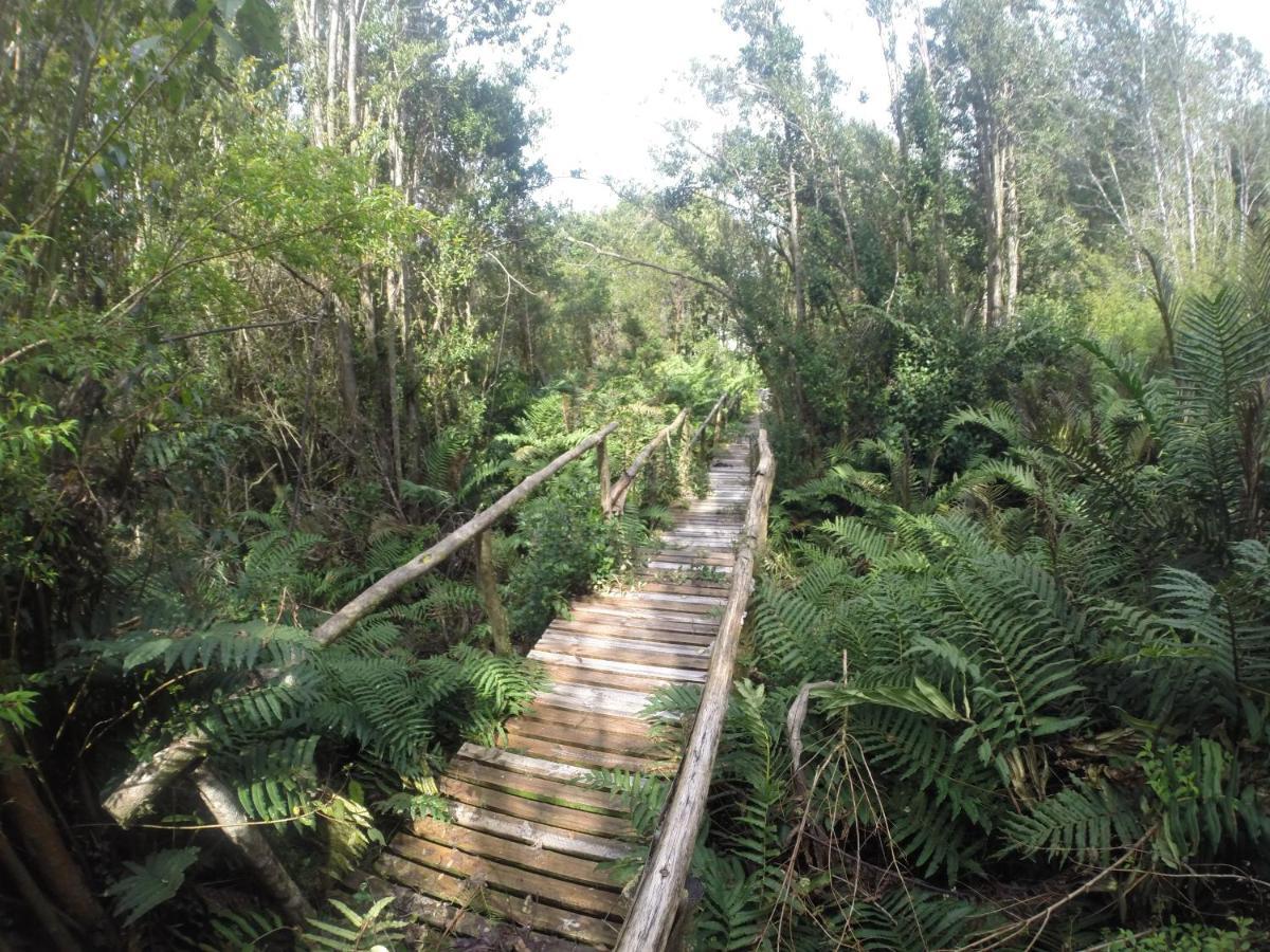 Turismo Del Bosque Διαμέρισμα Castro Εξωτερικό φωτογραφία